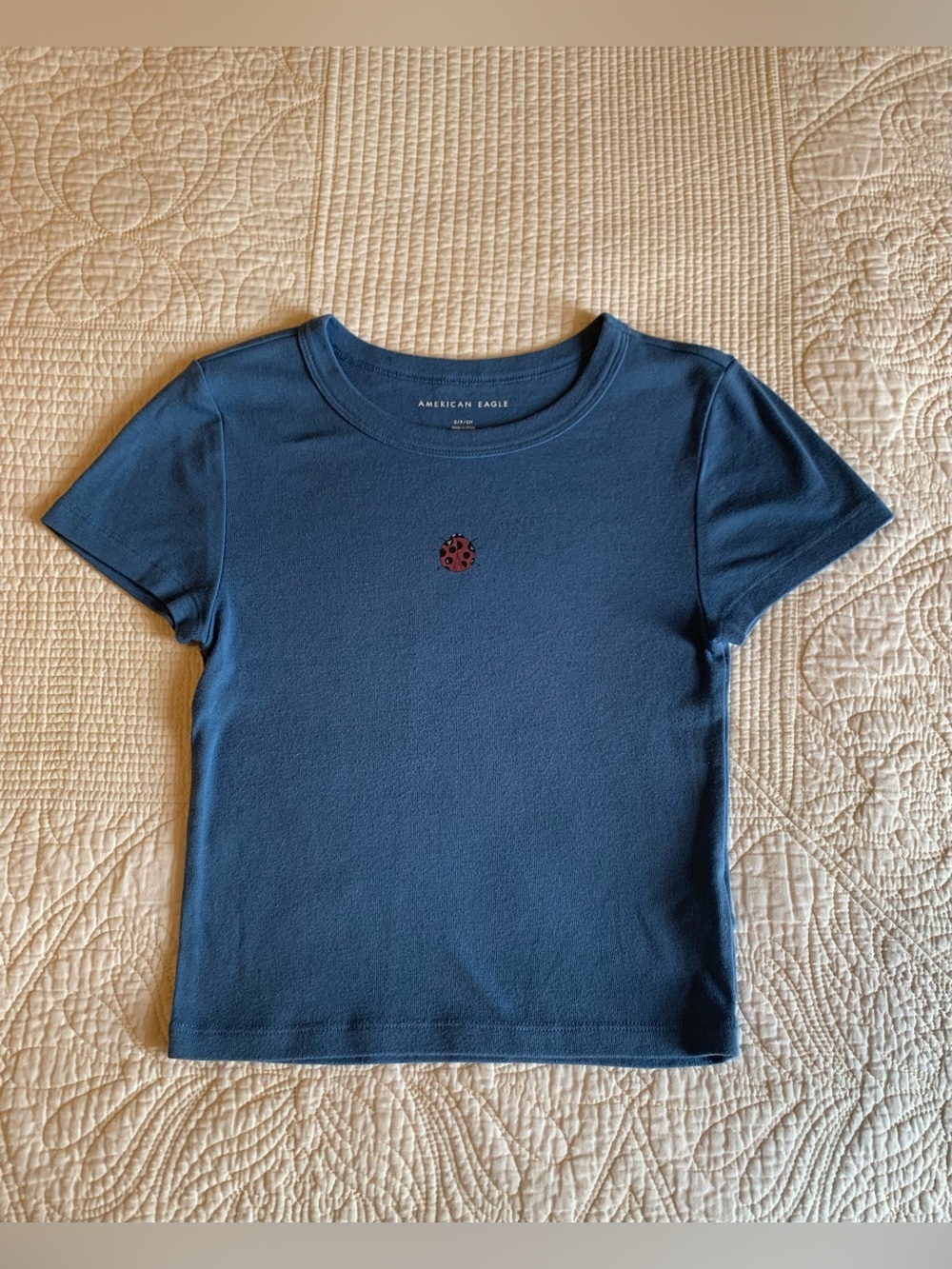 American Eagle "Hey Baby" Ladybug Graphic Tee
